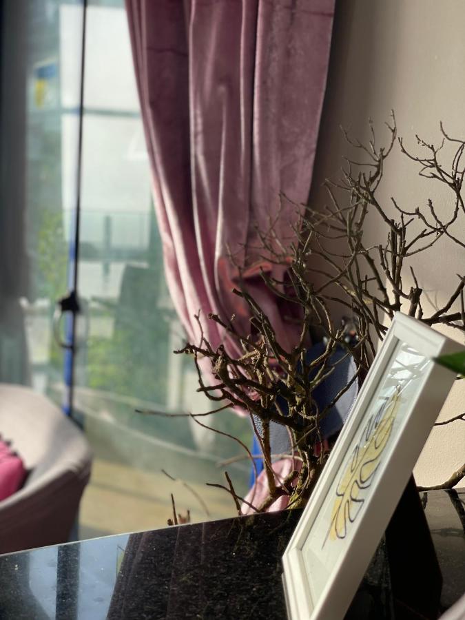 Auberge Oualidia Dream Dış mekan fotoğraf