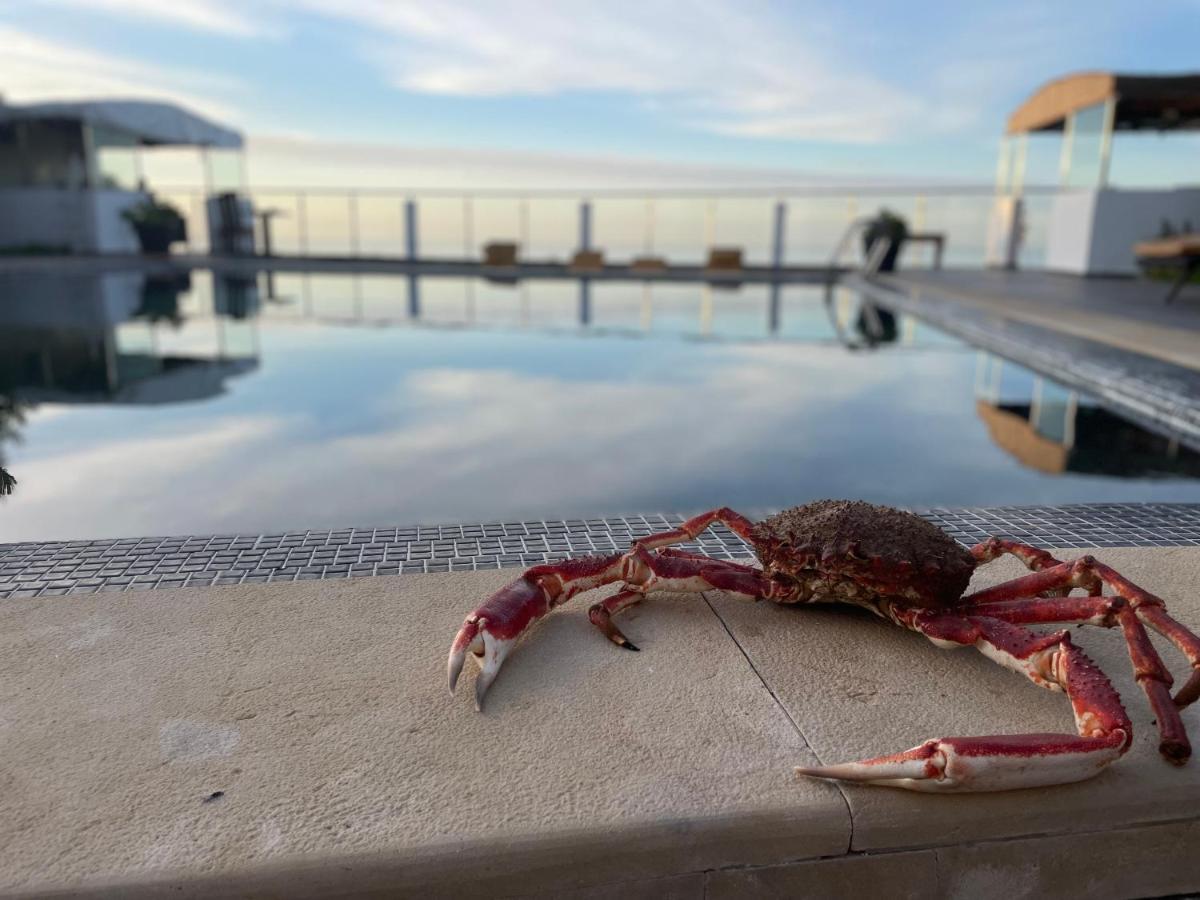 Auberge Oualidia Dream Dış mekan fotoğraf
